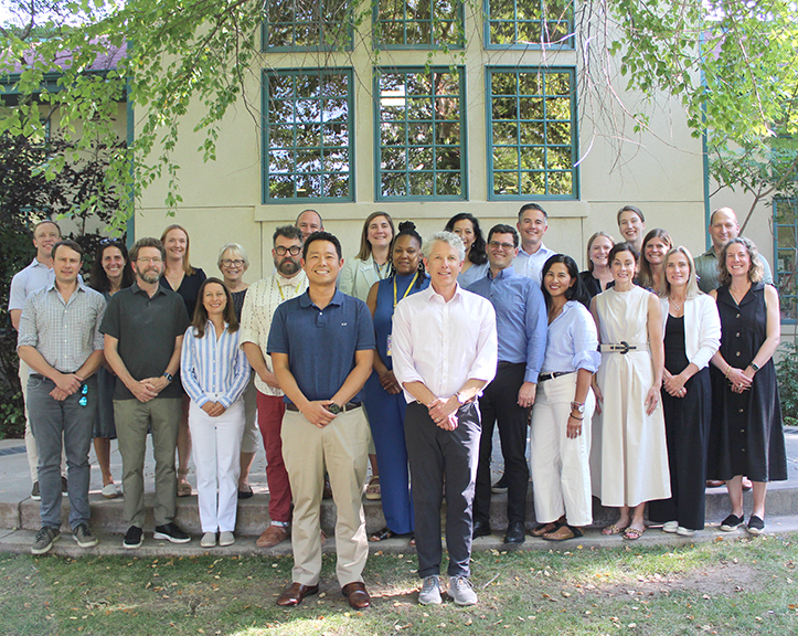 OriginalImage,,,Original