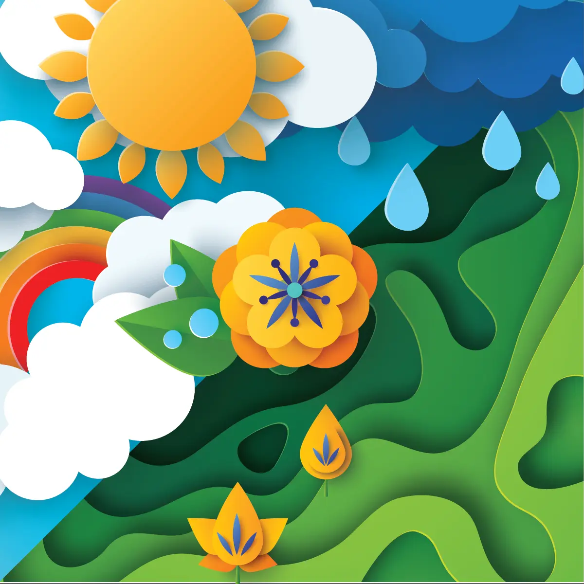  OptimizedImage,,,Optimized