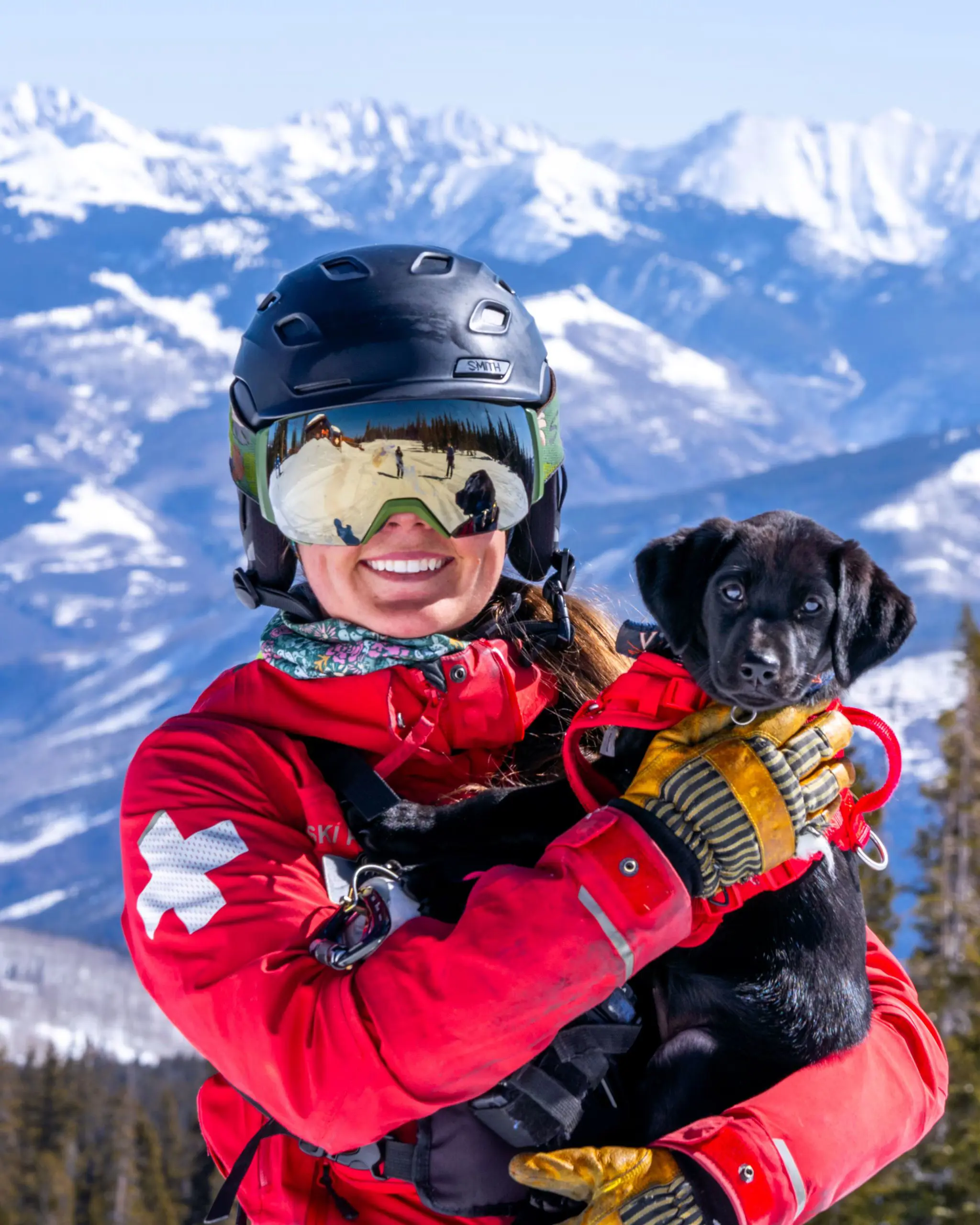 OptimizedImage,Optimized