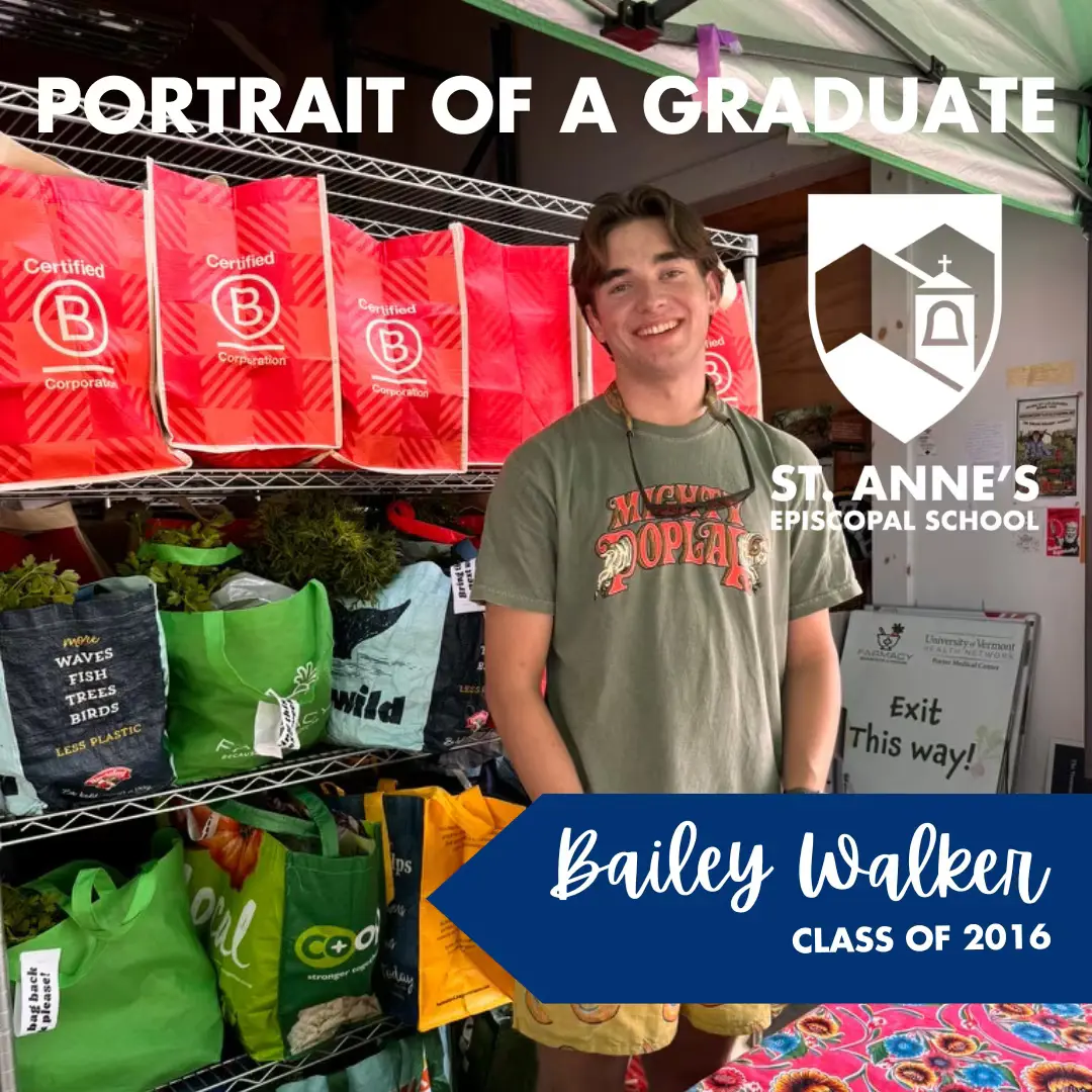  OptimizedImage,Optimized