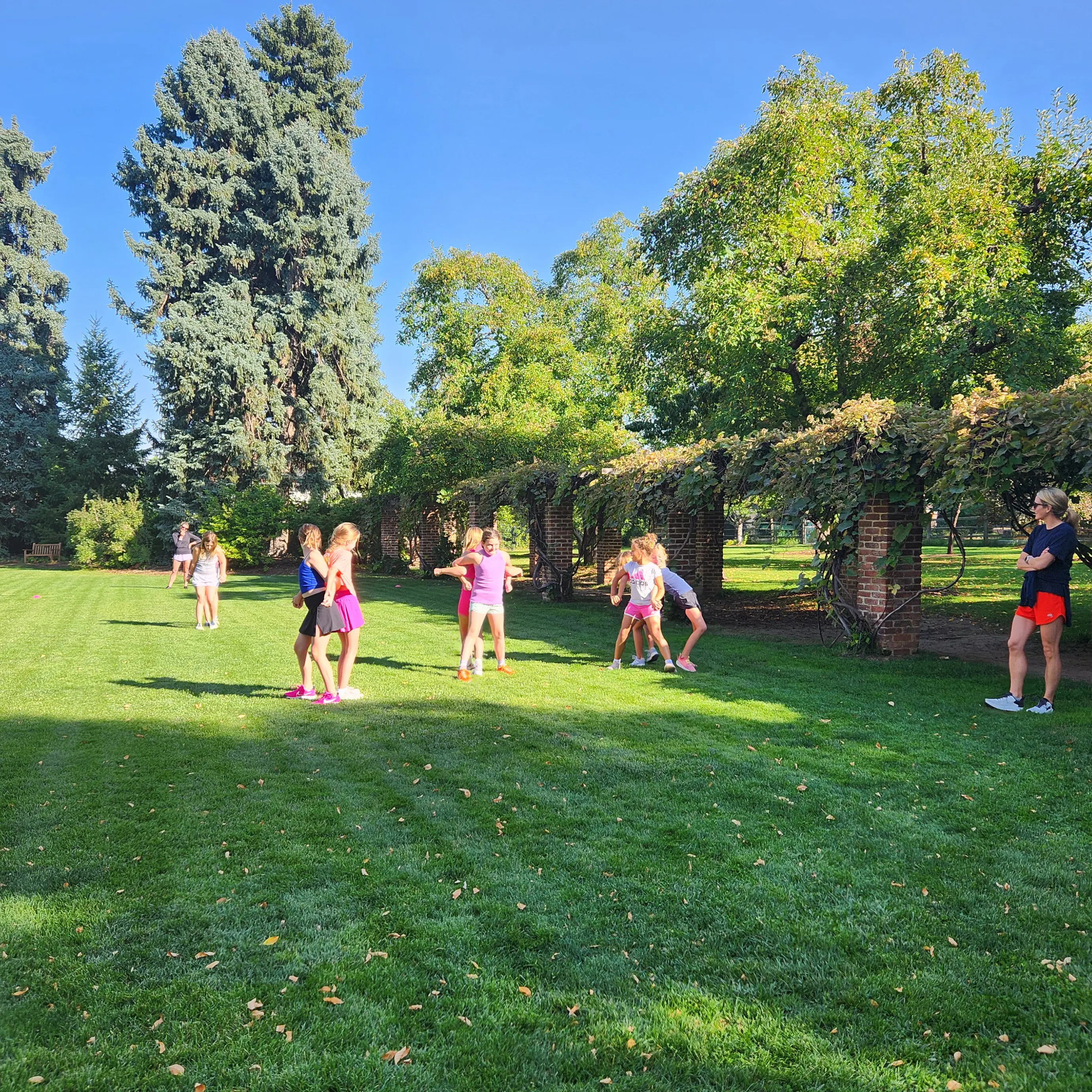  OptimizedImage,,,Optimized