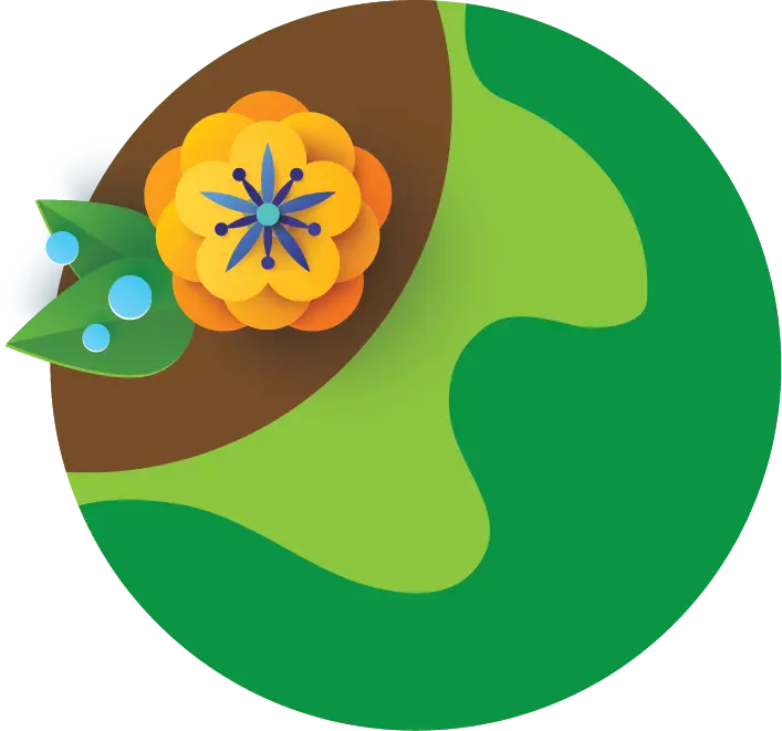  OptimizedImage,,,Optimized