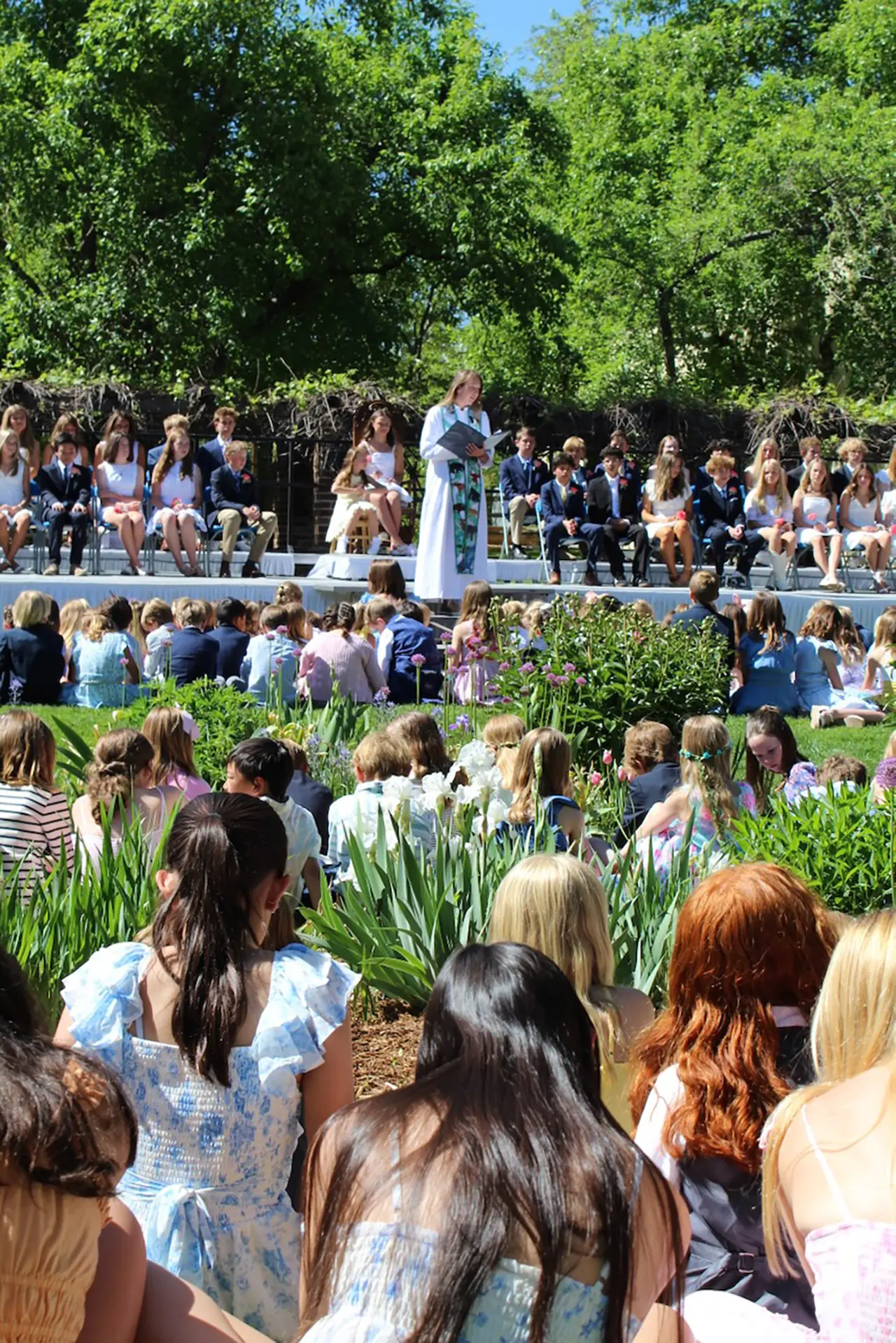  OptimizedImage,,,Optimized