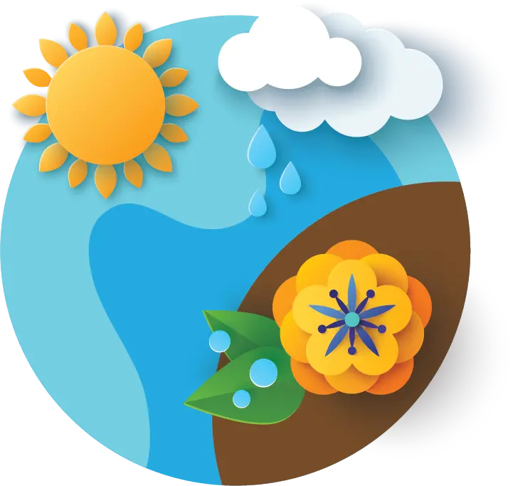  OptimizedImage,,,Optimized